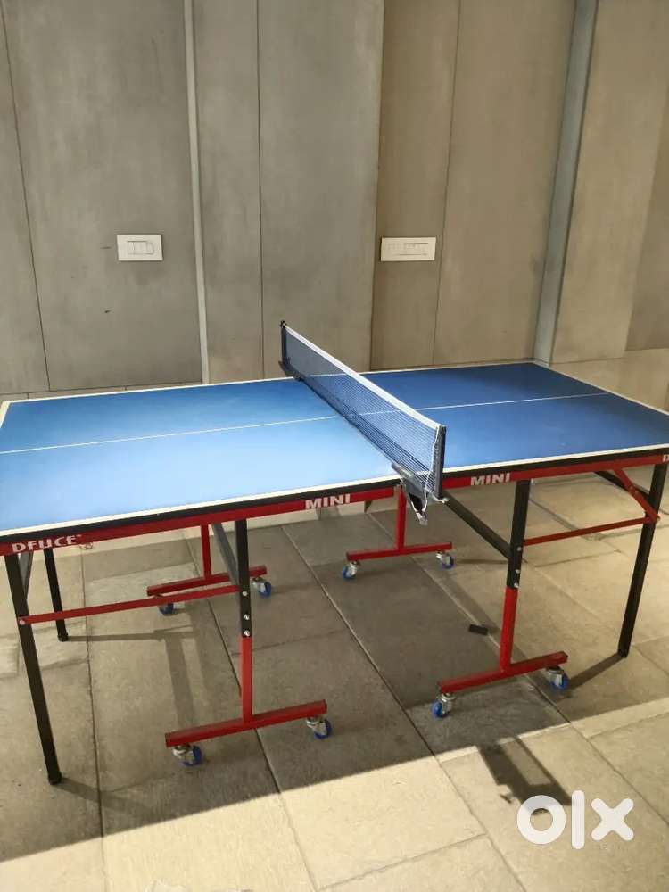 Table Tennis Table