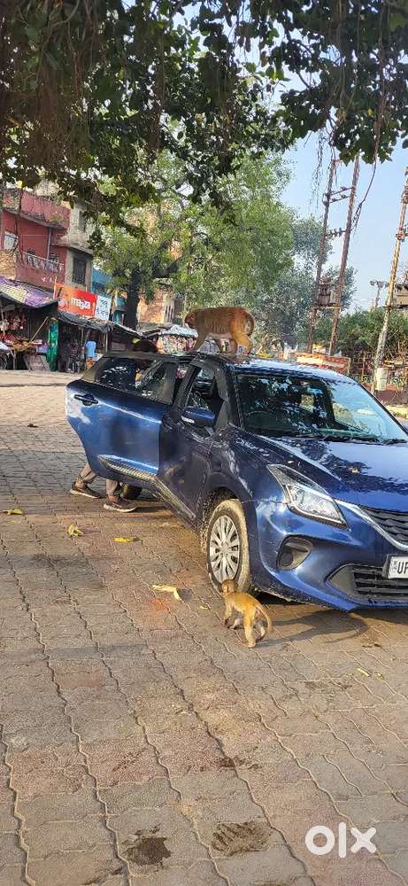 Maruti Suzuki Baleno 2022 Petrol Good Condition