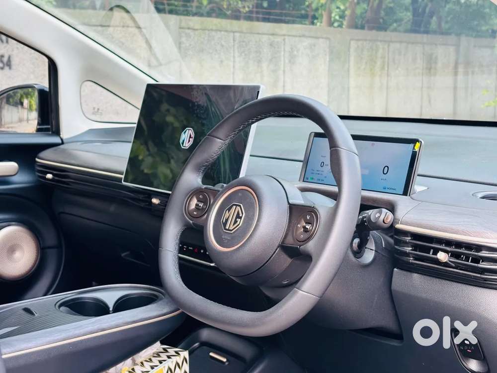 Mg Windsor Ev, 2025, Electric