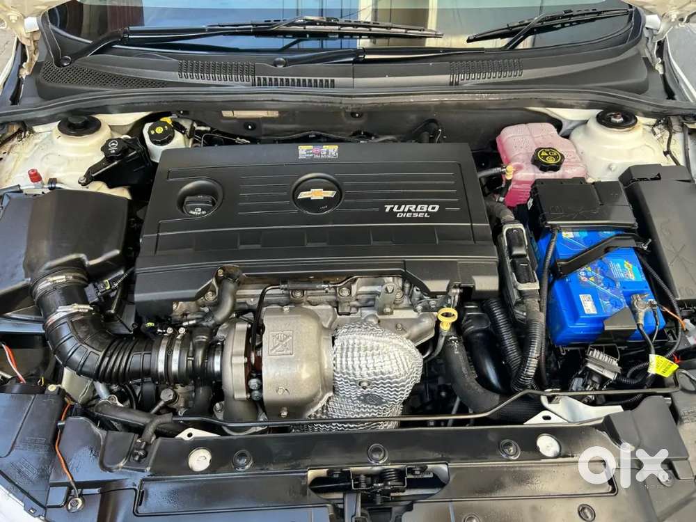 Cruze Like New Top