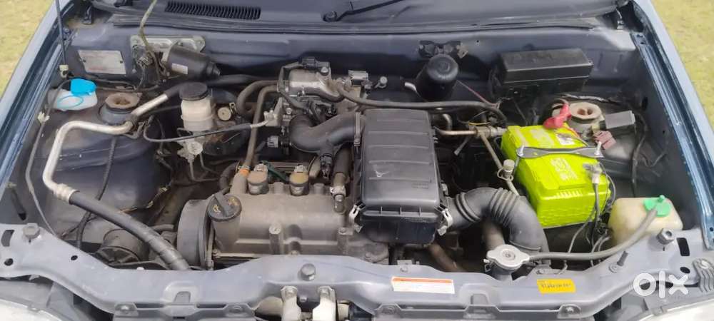 Showroom Condition Alto