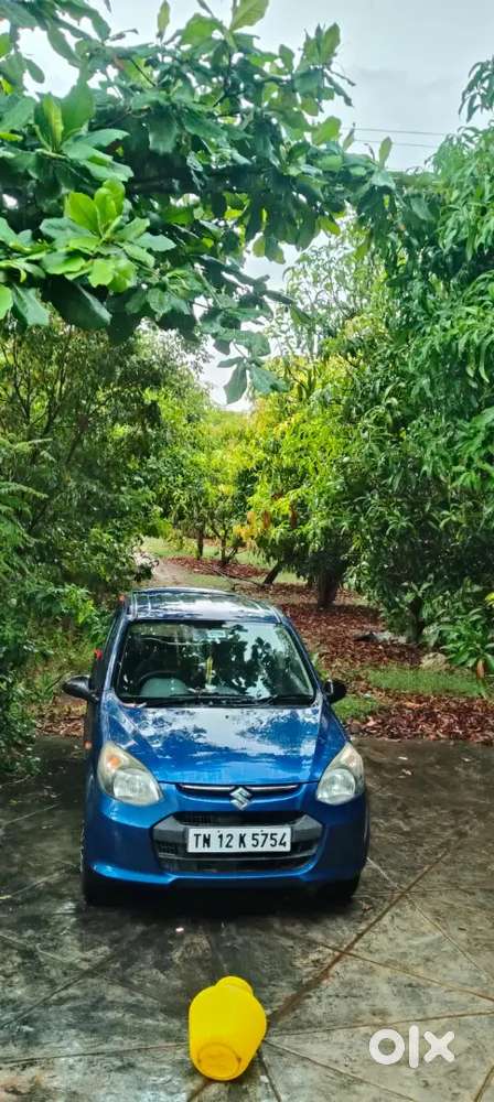 Maruti Suzuki Alto 800 2015