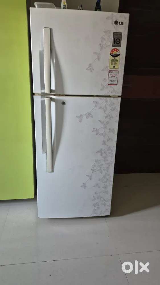 Lg 237 liter store