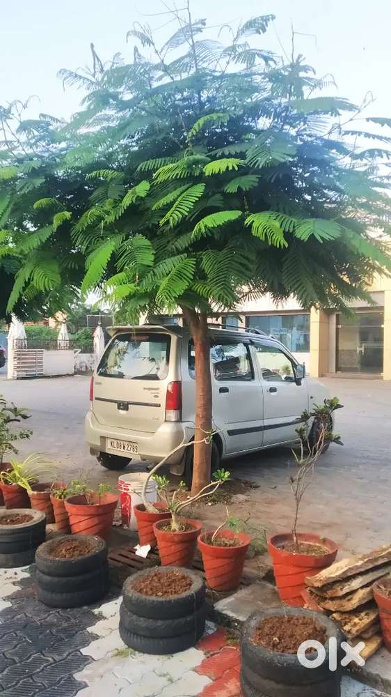 Maruti Suzuki Wagon R Lxi 2002