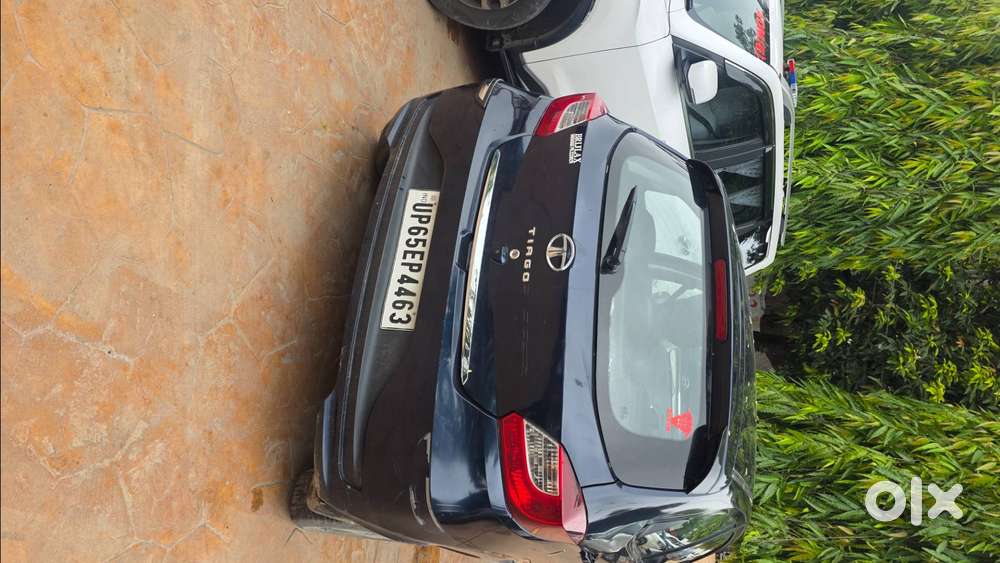 Tatatiago Xza + 3.5 Years Old