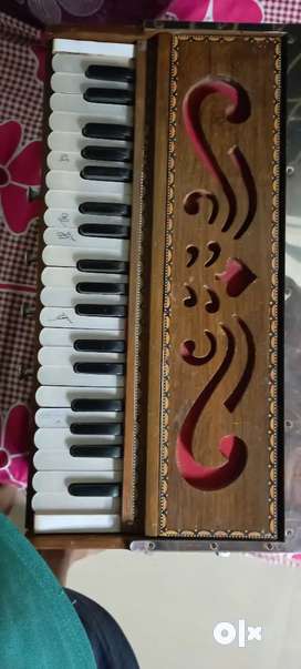 Used store harmonium olx