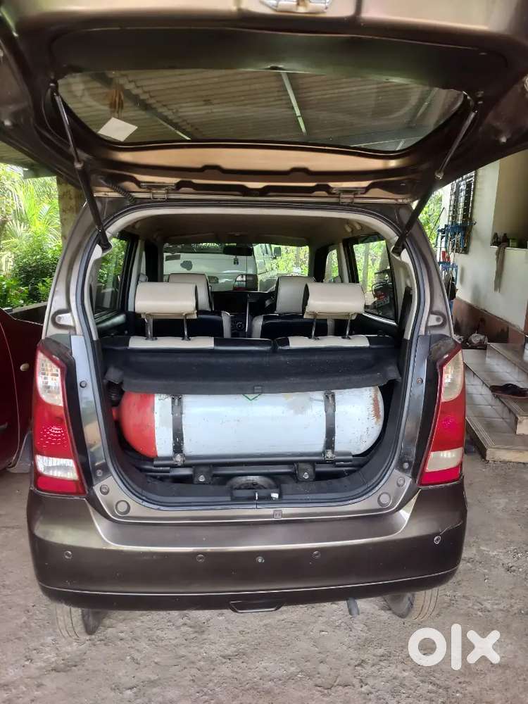 Maruti Suzuki Wagon R 2014 Lxi Cng