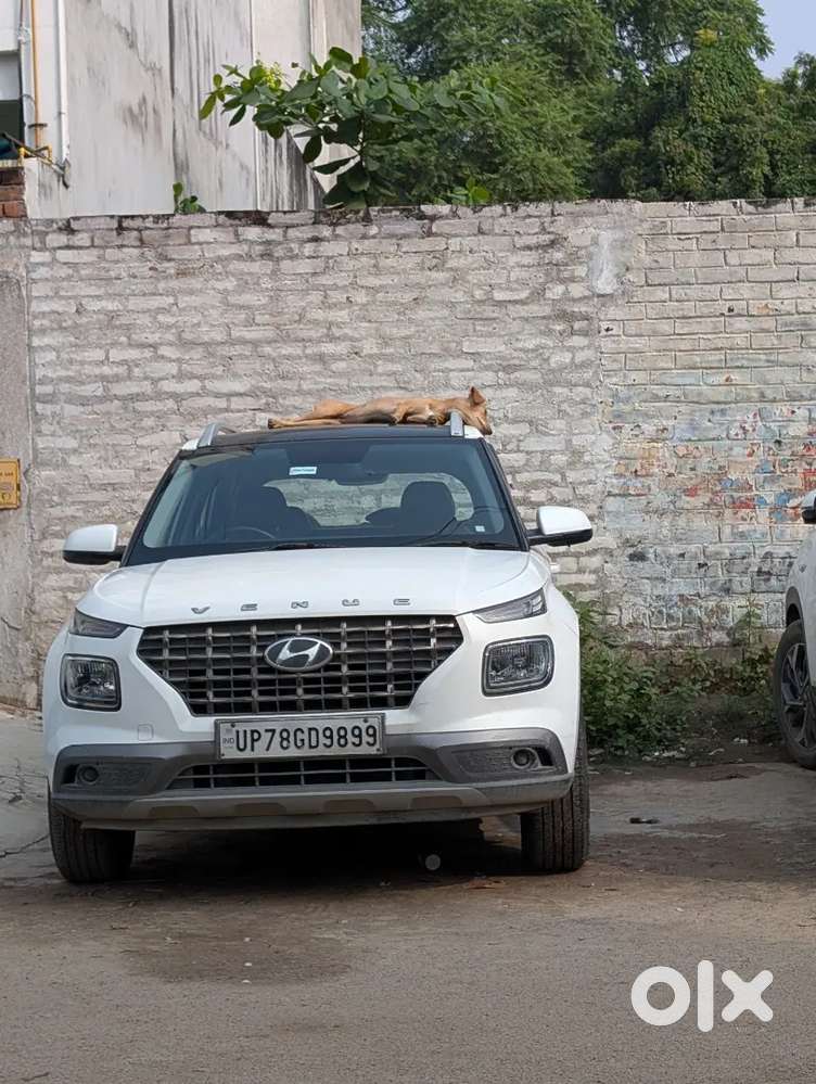 Hyundai Venue Petrol 2020 ( New Tyre,new Battery, Insurance Done Recen