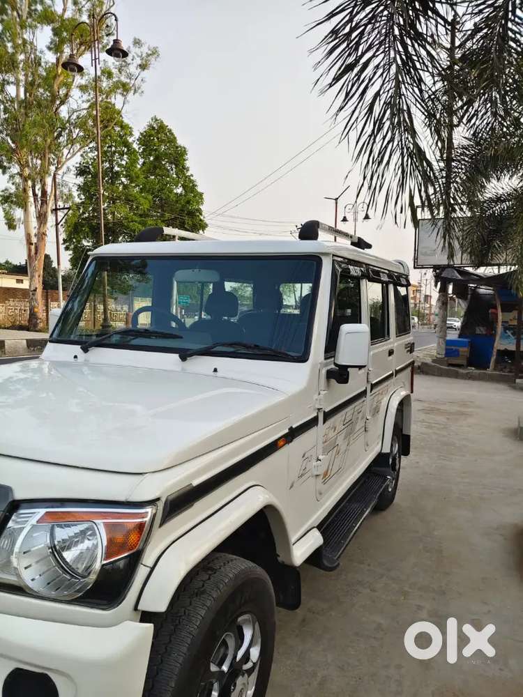 Beloro2019