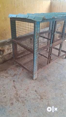 Pet Cage Buy Sell Pet Food Accessories Online in Ganapathy Pudur OLX