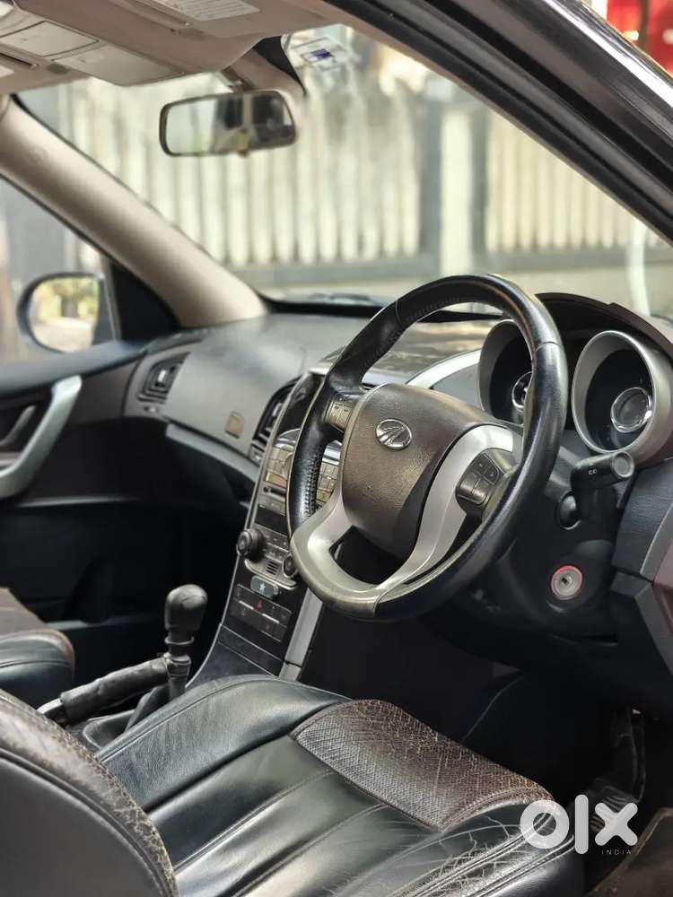 Black Beast Excellent Condition