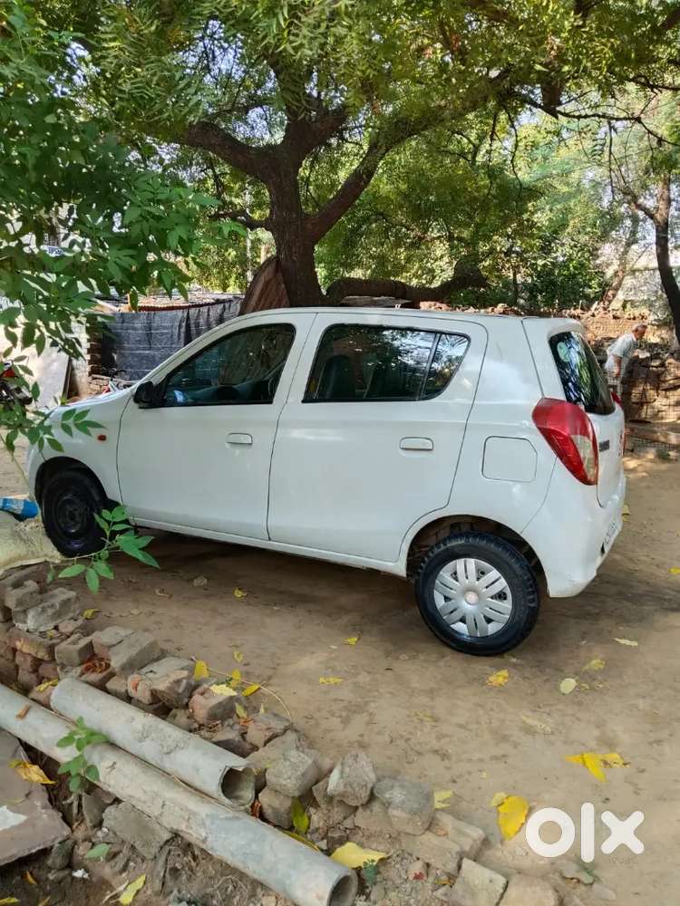 Car Alto 800