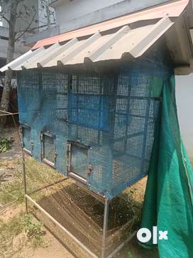 Cage for dogs hot sale olx