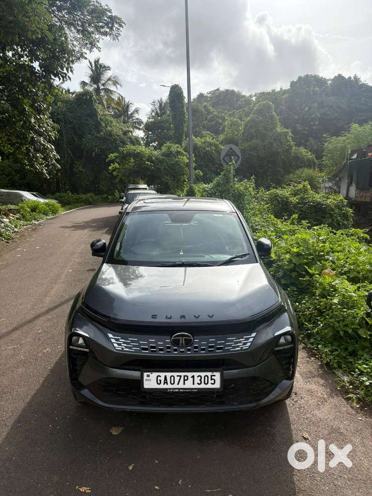Tata Curvv 2024 Year Car