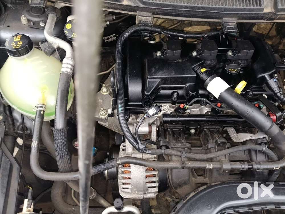 Ford Freestyle Titanium Plus Petrol, 2021, Petrol