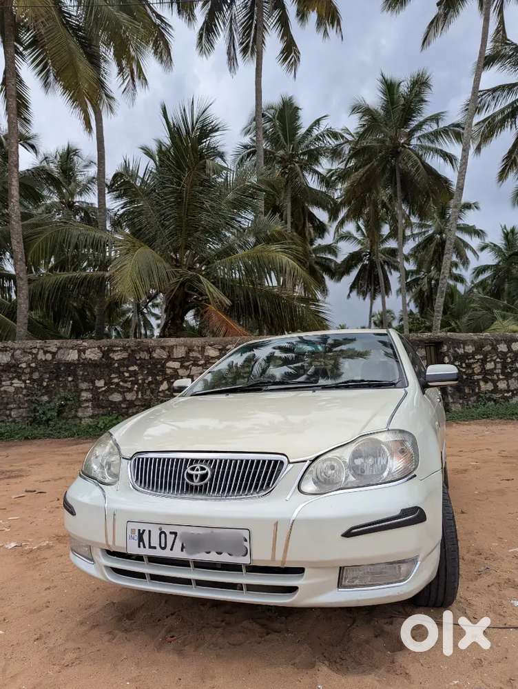 Toyota Corolla Well Maintained