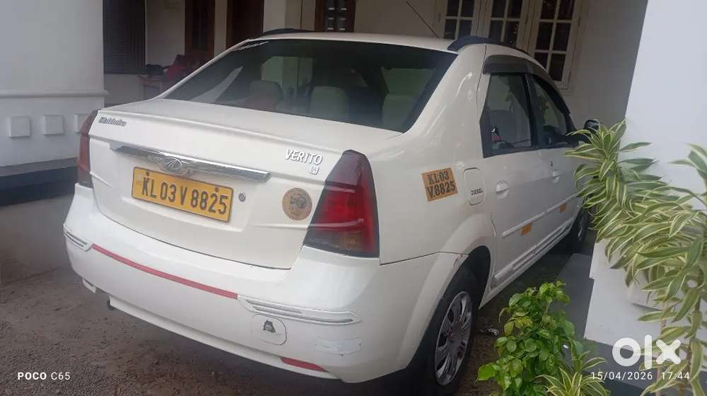 All Pepers Clear, Good And Neat