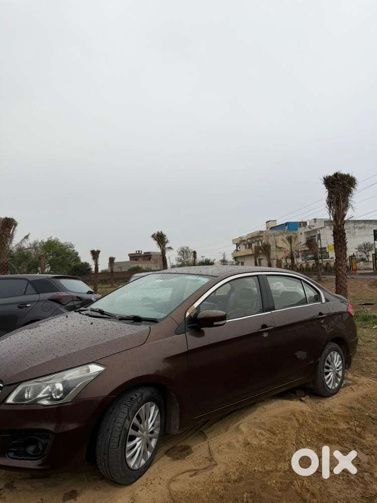 Maruti Suzuki Ciaz 2016 Diesel Well Maintained