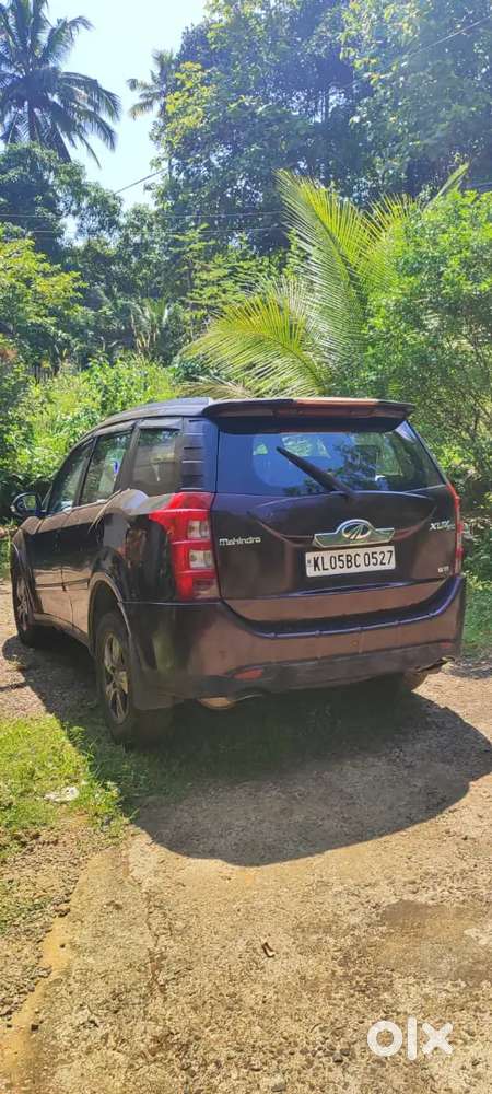 Xuv 500 Grape Colour