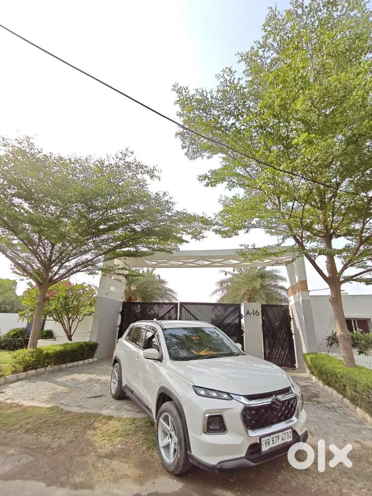Maruti Suzuki Vitara 2024