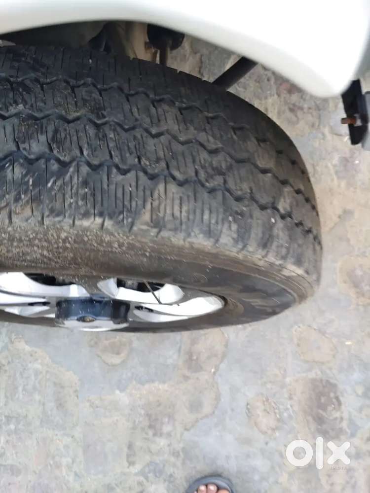 Beloro2019