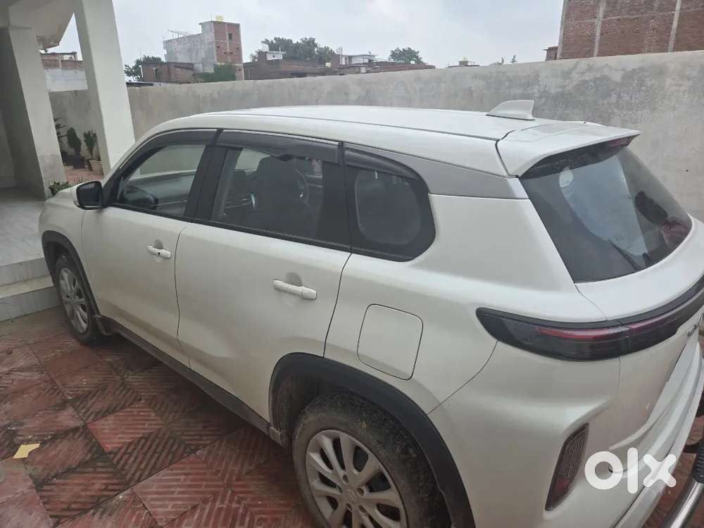 Maruti Suzuki Cng Grand Vitara 2023 Delta Cng Its Doctor Driven Car