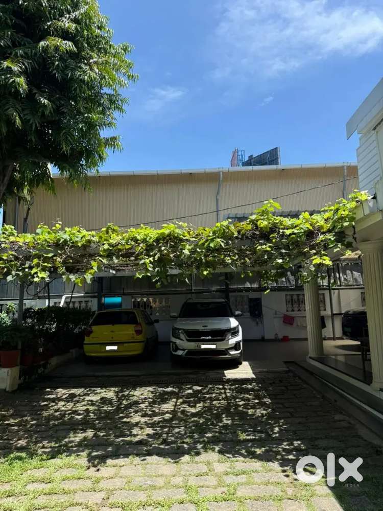 2020 Model Kia Seltos Gt Line Diesel Automatic Single Owner