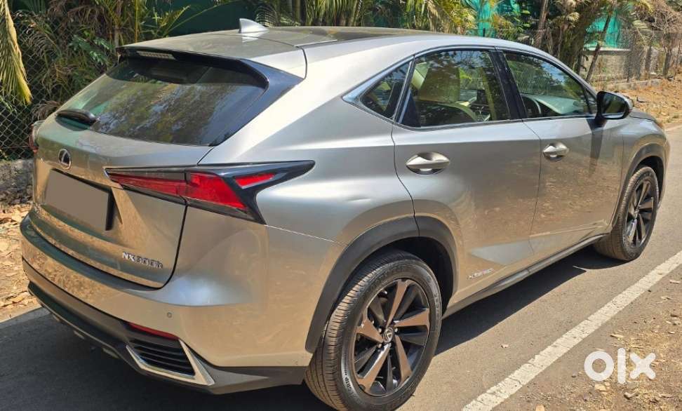 Lexus Nx Lexus-nx-300h-luxury, 2019, Petrol