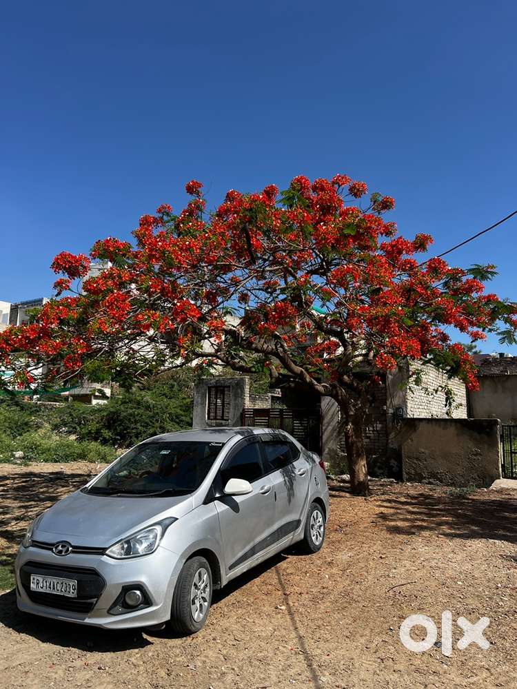 2015 Hyundai Xcent Diesel