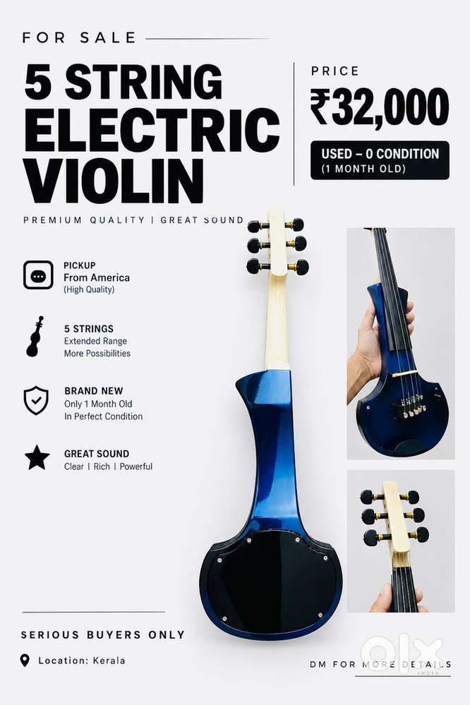 Eletric 5 string violin | Fishman american pickup |
