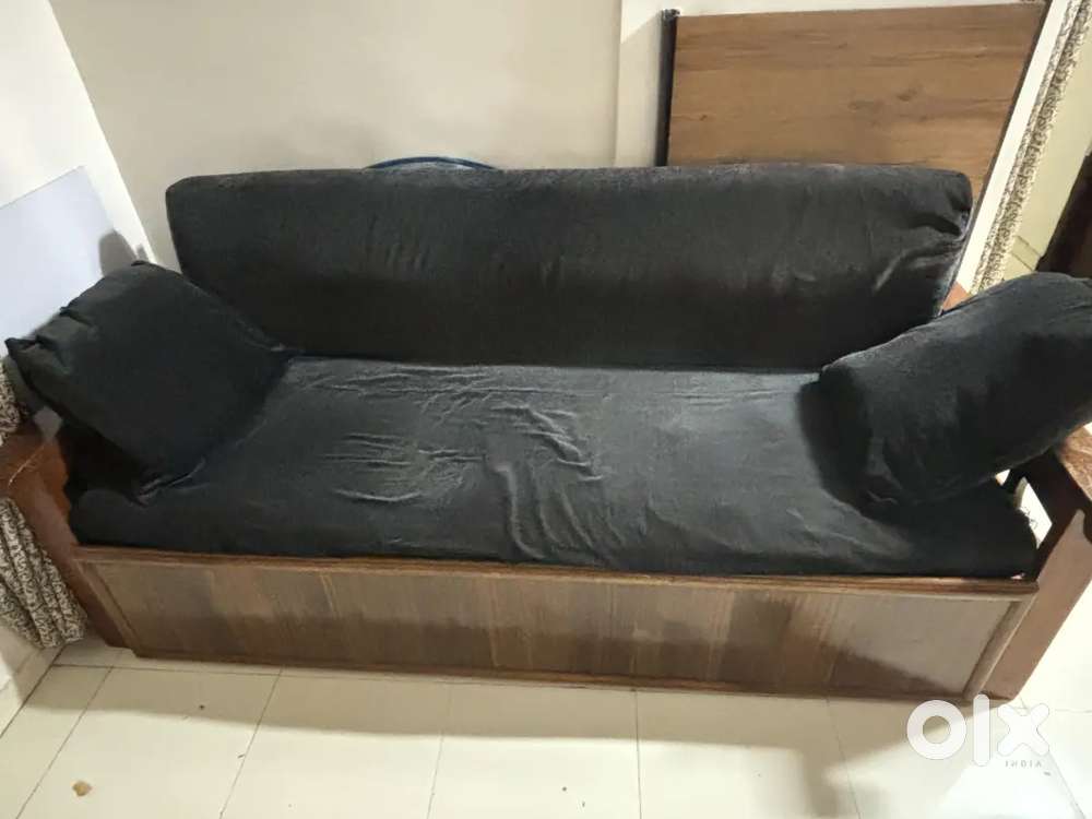 Sofa Cum Bed