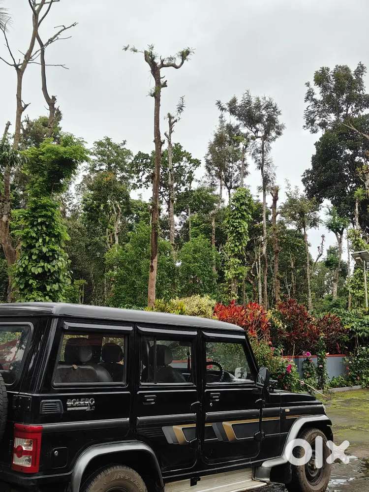 Mahindra Bolero 2009