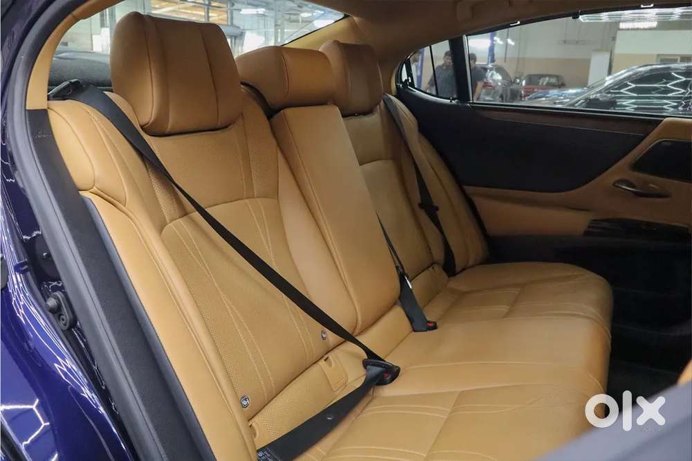Lexus Es, 2022, Petrol