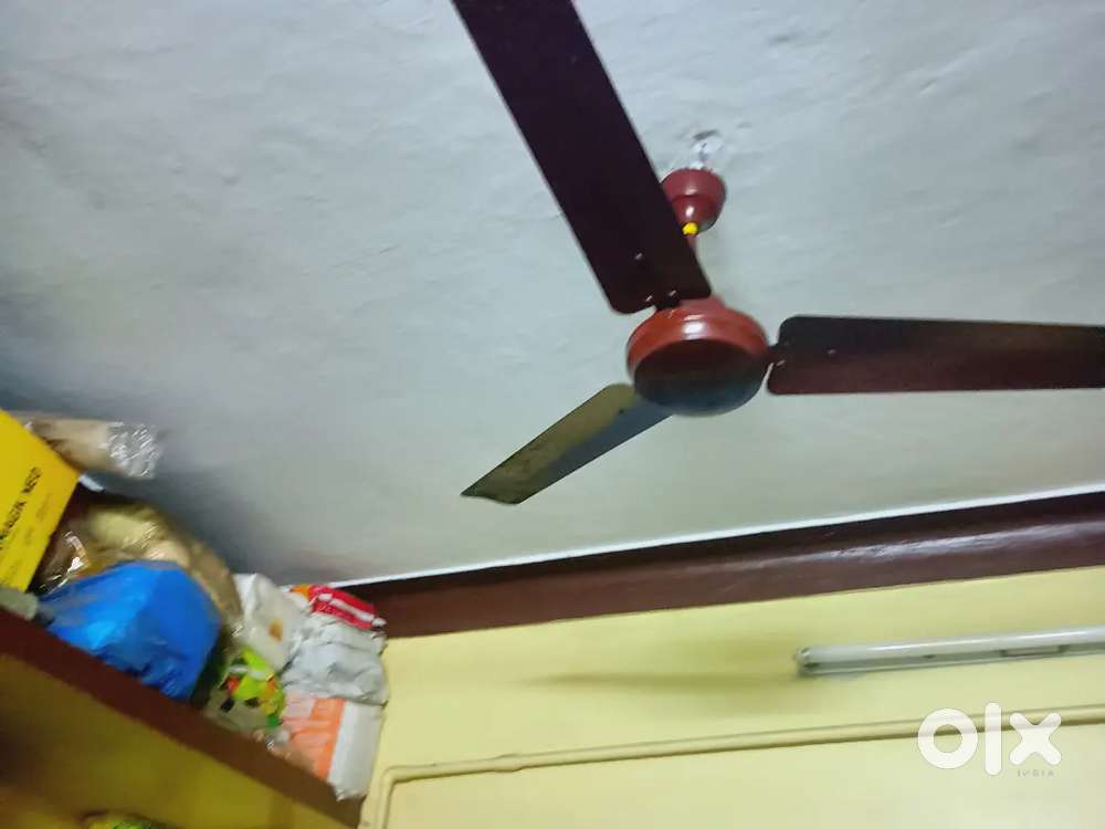 Celling.fan.orient.sale