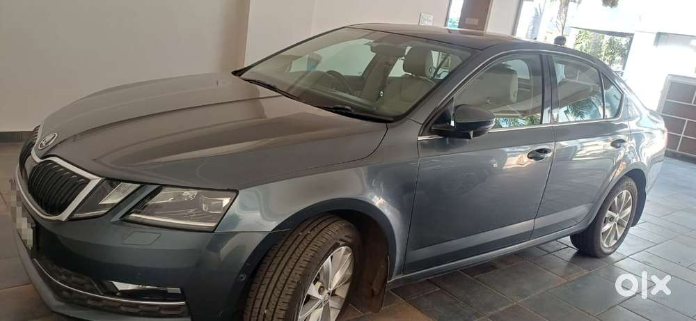 Skoda Octavia L And K 1.9 Tdi Mt, 2019, Diesel