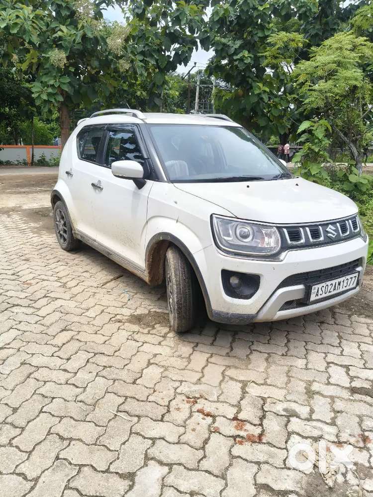 Maruti Suzuki Ignis 2023 Petrol 2600 Km Driven