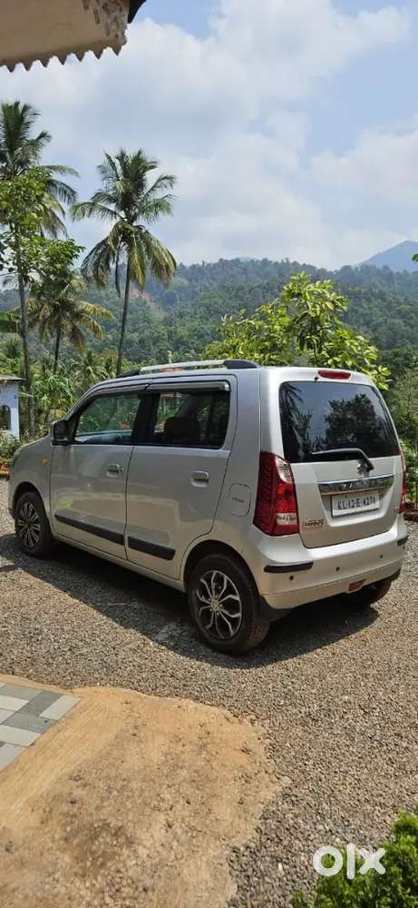 Maruti Suzuki Wagon R Flex Fuel 2010