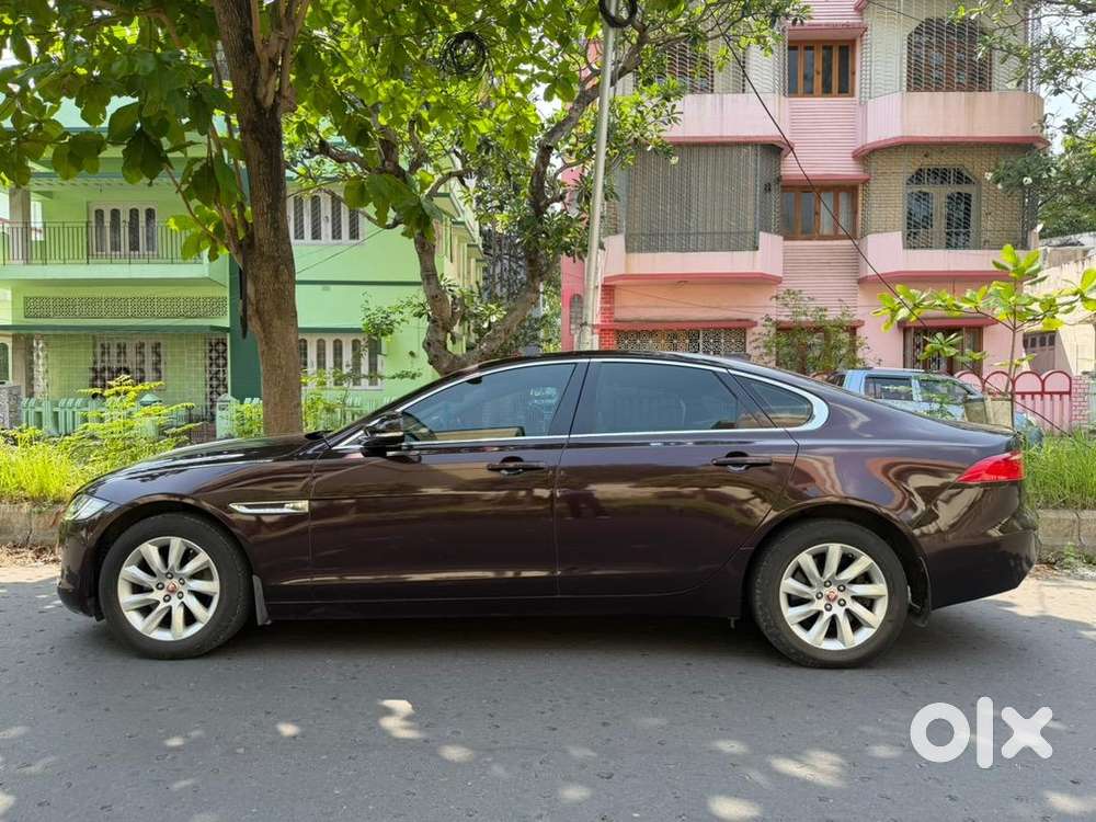 Jaguar In Excellent Condition