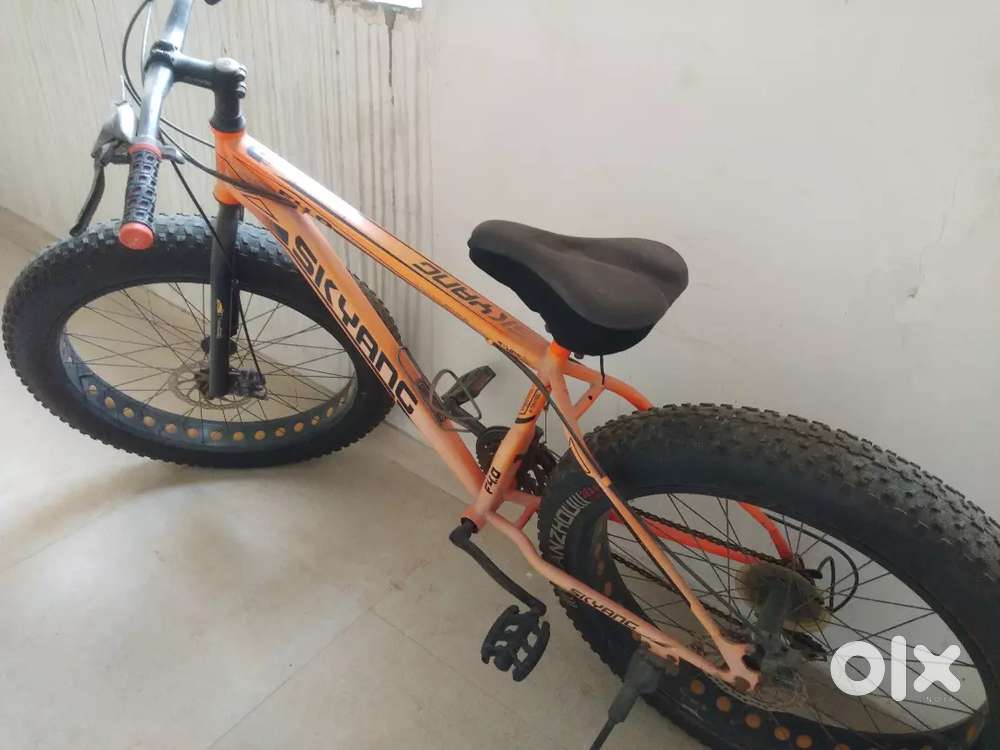 Skyang store fat bike