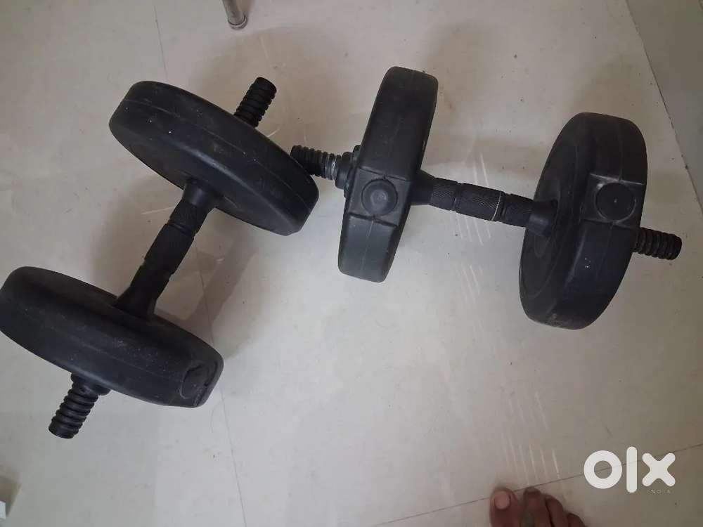 Gym dambal