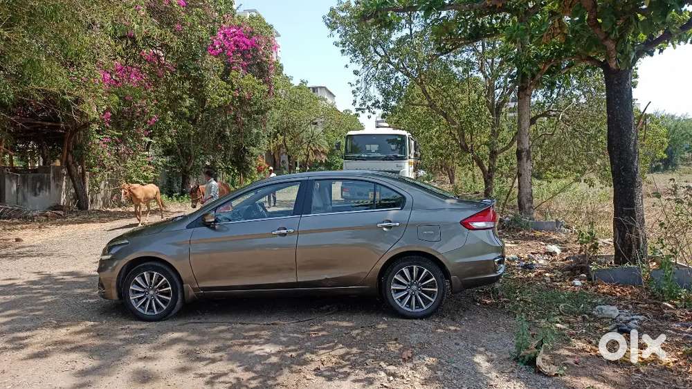 Maruti Suzuki Ciaz Alpha (top Model) 2018