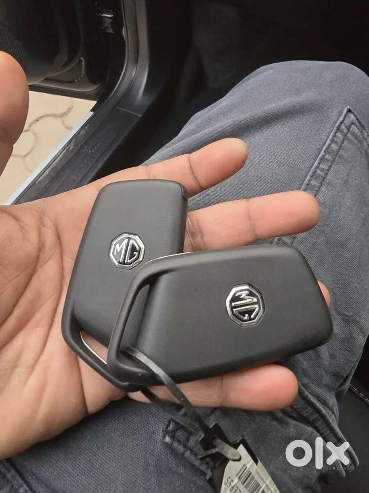 Mg Windsor Ev 2025 Car