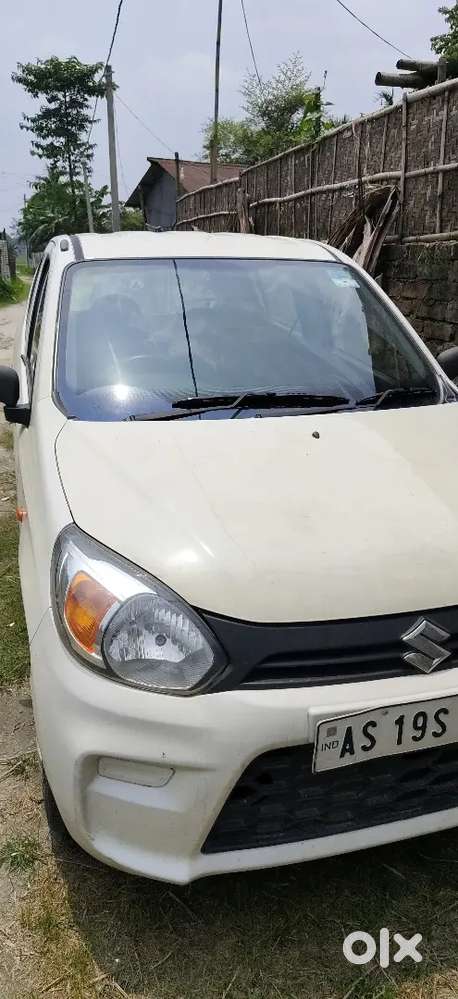 Maruti Suzuki Alto 800 2023 Petrol Well Maintained