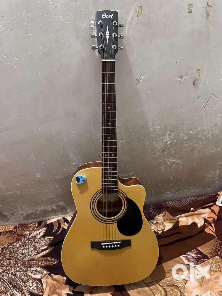 Gauitar AF500C