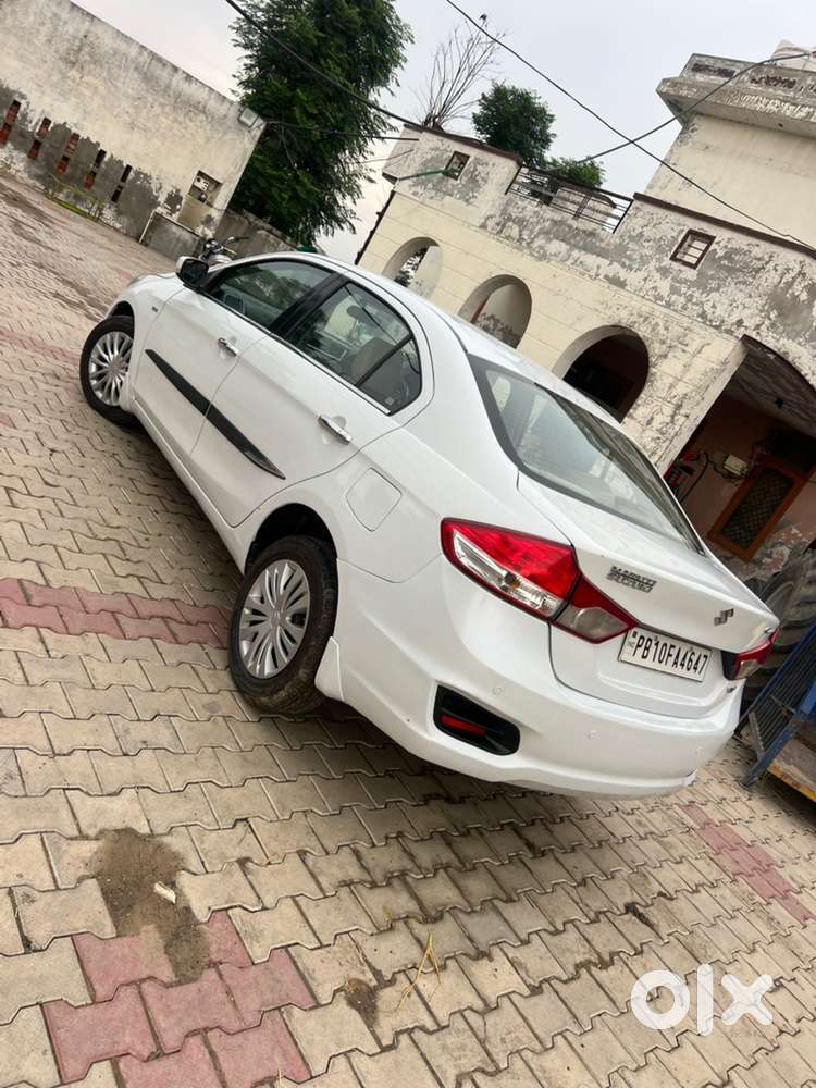 Ciaz Maruti Diesel 2014