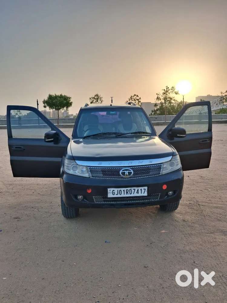 Safari Storme