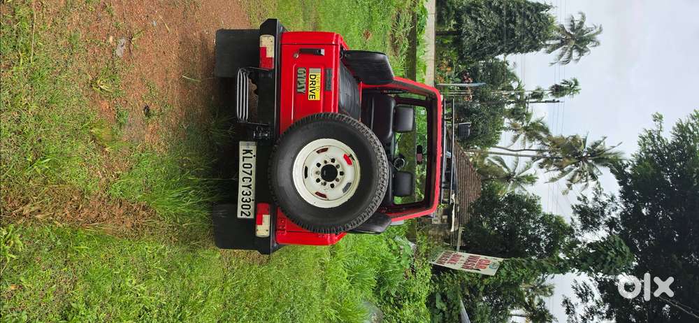 Urgent Sale - Jipsy King