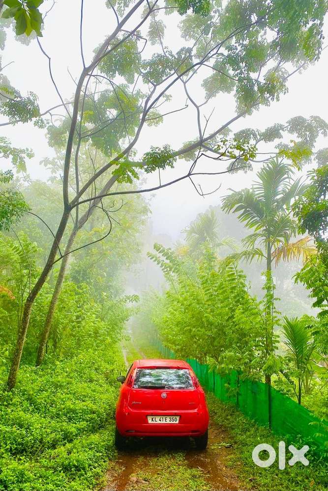 Fiat Punto 2011 Petrol 85000 Km Driven