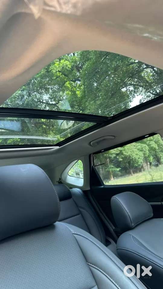 Kia Seltos 1.5 Htx Diesel At, 2024, Diesel