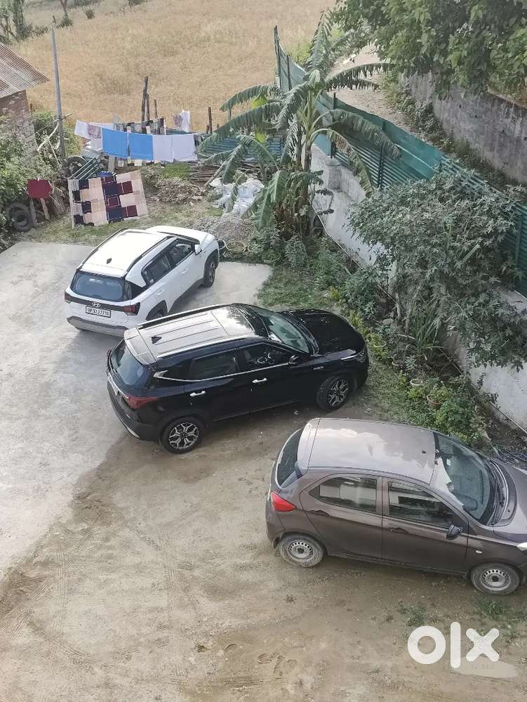 Kia Seltos 2023 Petrol 50000 Km Driven